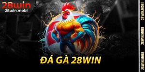 Đá Gà 28win